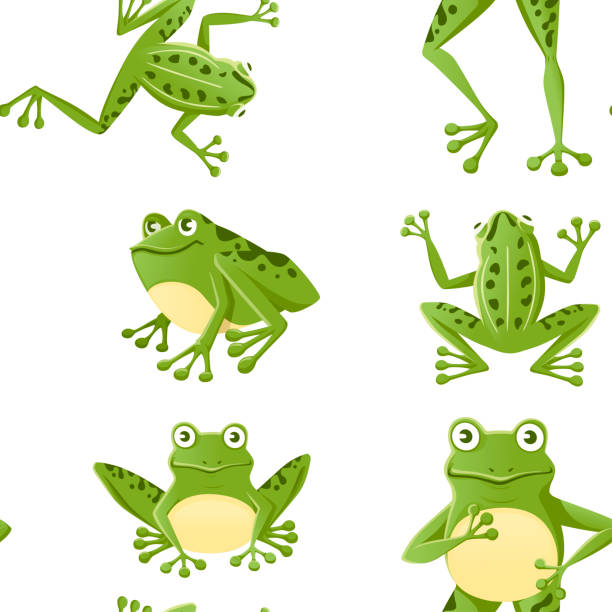 nahtloses muster von niedlichen lächelnden grünen frosch sitzen auf dem boden cartoon tier design flache vektor-illustration auf weißem hintergrund - bullfrog frog amphibian wildlife stock-grafiken, -clipart, -cartoons und -symbole