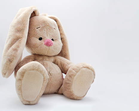 The soft toy bunny sits on a bright background