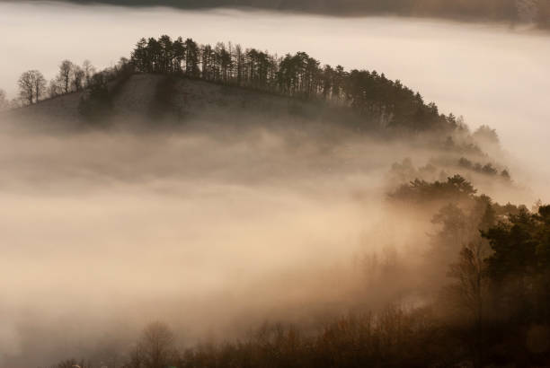 istock Morning fog 1203063998