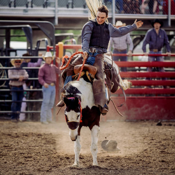 istock At a rodeo saddle bronc riding event, a young man struggling to stay on a bucking bronco while other cowboys watch him in the background. 1203065480
