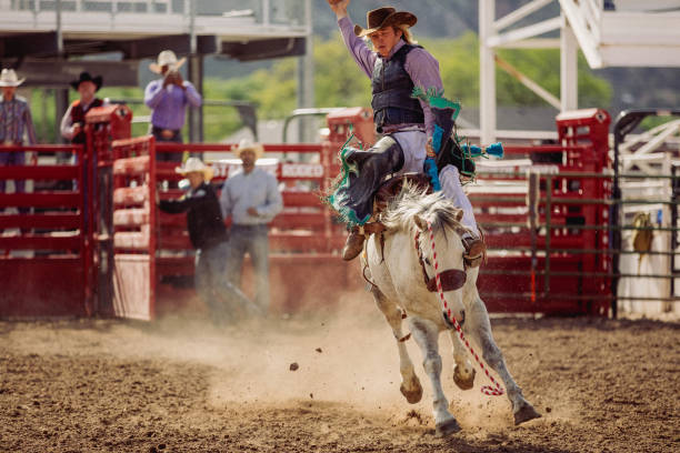 istock At a rodeo saddle bronc riding event, a young man struggling to stay on a bucking bronco while other cowboys watch him in the background. 1203065506