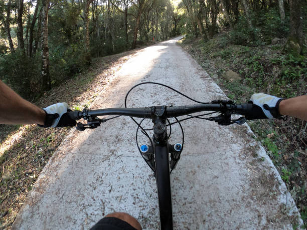 istock Man riding a mountain bike on forest road 1203066547