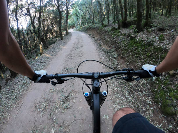 istock Man riding a mountain bike on forest road 1203066557