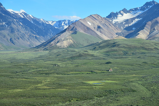 Glacial erratics and small ponds left on the Denali landscape attest to the glacier action that carved the landscape of Denali National Park, Alaska.