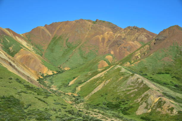 istock Colorful Denali National Park 1203070240