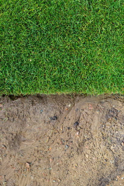 straigh линия новых недавно установленных зеленый проката газон травы . грязи поливали почву, подготовленную для установки в городском парке и - single line urban scene outdoors vertical стоковые фото и изображения