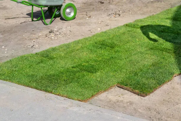 Professional gardener worker laying fresh artificially grown rolled lawn. Detail process of installation grass roll carpet at city park or backyard on bright sunny day . Gardening landcaping service.