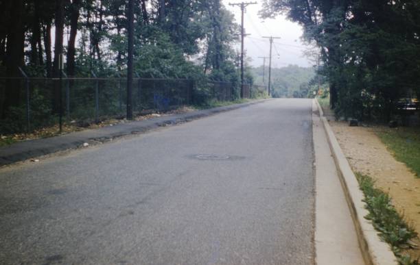 istock Gray Concrete Road Between Green Trees During Daytime 1203073603