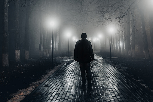 Hombre triste solo caminando por el callejón en el parque de niebla de la noche. Vista posterior photo
