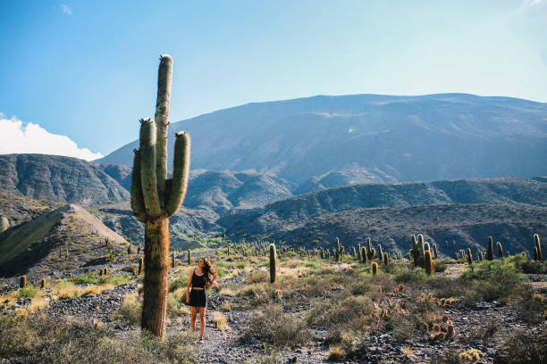 istock Woman standing next to a big cactus 1203074411