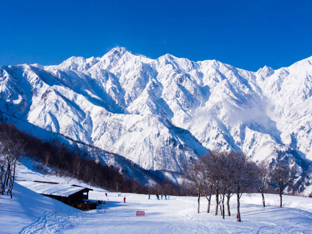 Snow World in 