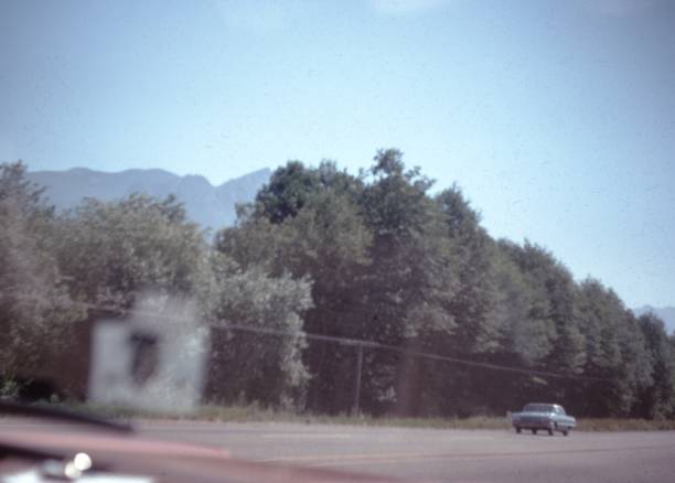 istock White Car On Road Near Green Trees During Daytime 1203075289