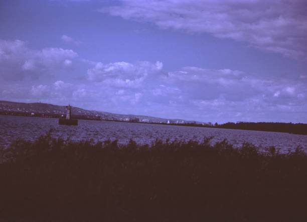 istock Green Grass Field Under Blue Sky During Daytime 1203075330
