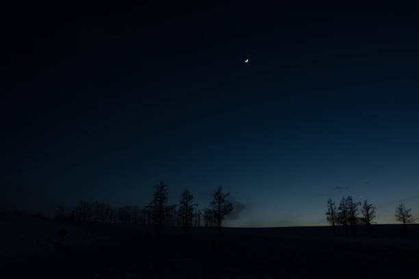 winter pine trees and crescent moon in biei - pine sunset night sunlight imagens e fotografias de stock