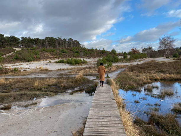 istock Woman walking in the  moor 1203076511