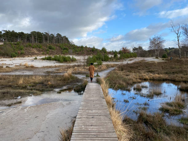 Woman walking in the  moor