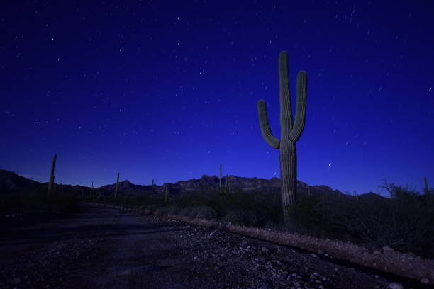 amplia vista de ángulo bajo de largo camino de tierra sinuoso que va a través del desierto, cactus y montañas contra majestuosamente estrella cubierto cielo nocturno - organ pipe cactus fotografías e imágenes de stock