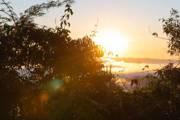 The icy dawn in the mountains of Jaguari, locality of Chapadão, RS, Brazil. Morning of intense fog and the sun rising on the horizon. Wine region and colonized by Italian and European immigrants