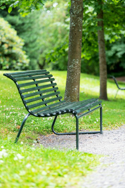 istock Bench in botanical garden in Oslo Norway 1203077792