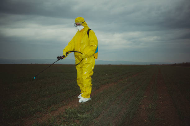 istock Worker spraying toxic pesticides 1203078407