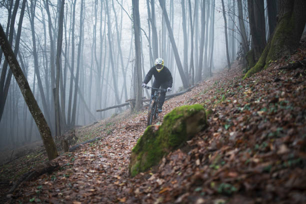 istock Enduro Mountain Biker Riding In The Foggy Forest. 1203078448