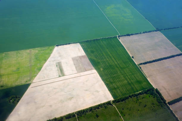 istock Green fields view from the plane to the ground. 1203081987