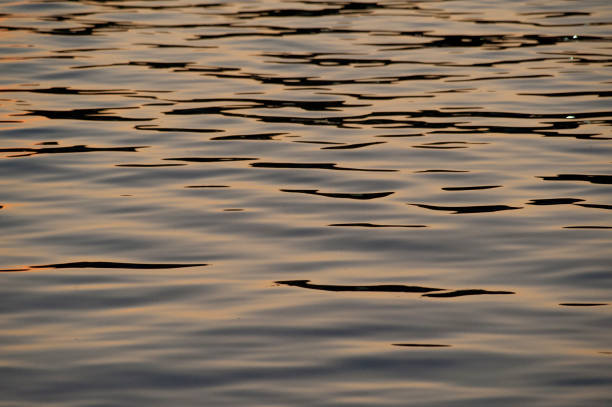istock calm sea in the sunset 1203087858