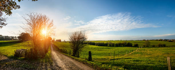 istock Silent Forest in golden autumn with beautiful bright sun rays 1203089488