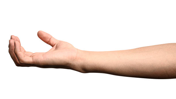 istock hand holding something like a bottle or can 1203089581