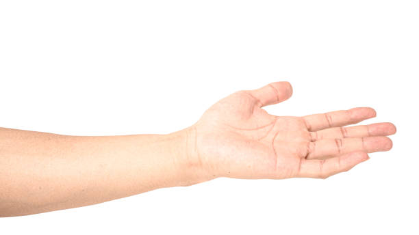 istock Hand open and ready to help or receive. Gesture isolated on white background with clipping path. 1203089586