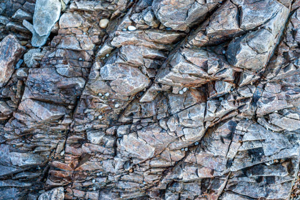 istock texture of the rock 1203093226