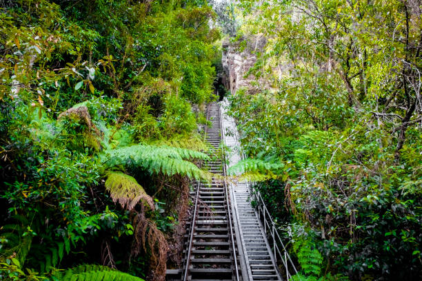 красивая живописная железная дорога джунглей в национальном парке голубая гора - famous place blue mountain range sky стоковые фото и изображения