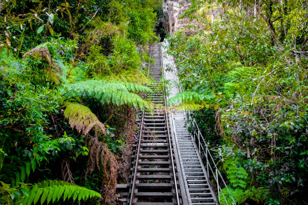 istock A beautiful jungle scenic railway at Blue Mountain National Park 1203095732