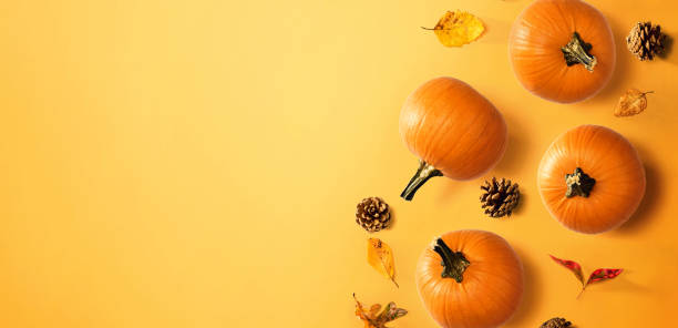 istock Autumn pumpkins with leaves 1203097883