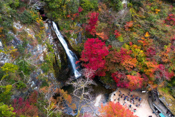 japan fällt - spring waterfall japan landscape stock-fotos und bilder