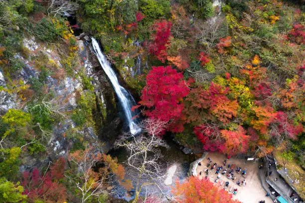 Photo of Japan falls