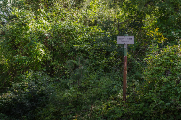 istock fire department signboard in the forest 1203101676