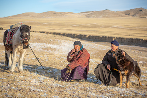 MONGOLIA - CIRCA DECEMBER 2019: nomadic man with horse and dog is \nHerds of cattle migrated to escape the cold during winter season