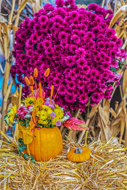 istock Autumn arrangement with pumpkins and flowers 1203109868
