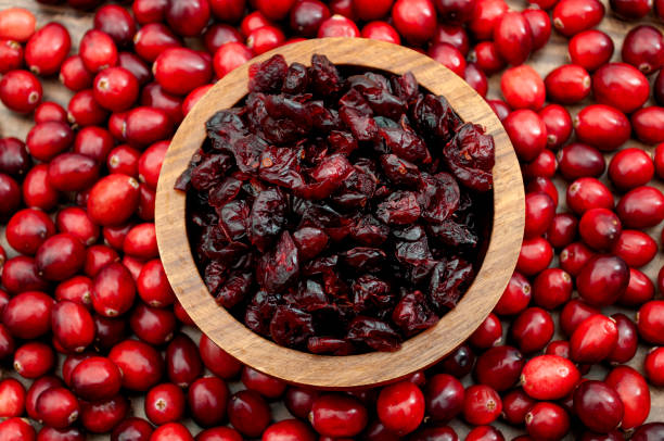 fonte natural de minerais, vitaminas e nutrientes essenciais, frutos orgânicos e dieta rica em antioxidantes ideia conceitual com tigela de madeira de cranberries secas cercadas por monte de cranberry cru - comida desidratada - fotografias e filmes do acervo