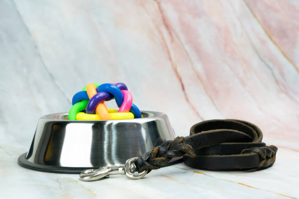 istock Bowl with leashes for dog or cat.   Pet accessories concept. 1203113881
