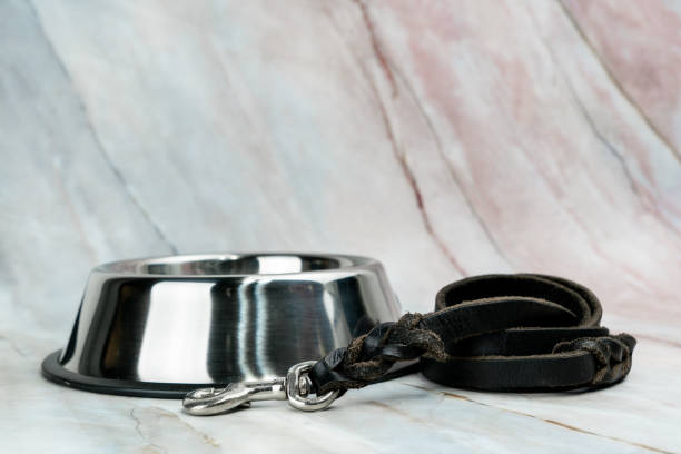 istock Bowl with leashes for dog or cat.   Pet accessories concept. 1203113885