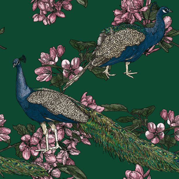 elegancki bezszwowy wzór peacock vintage - paw print obrazy stock illustrations