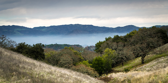 California Hills with evening fog in the mountains of Sonoma County Wine Country.