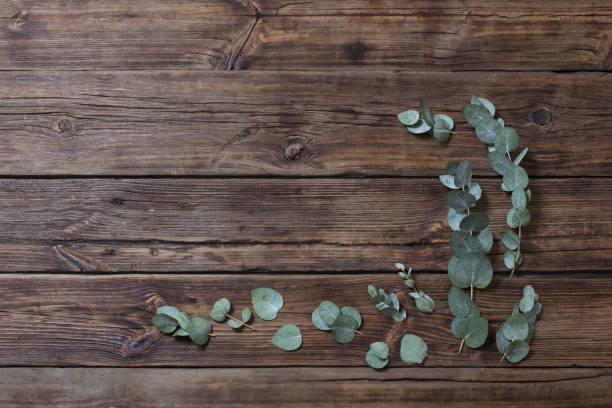 istock eucalyptus on old dark wooden background 1203124670