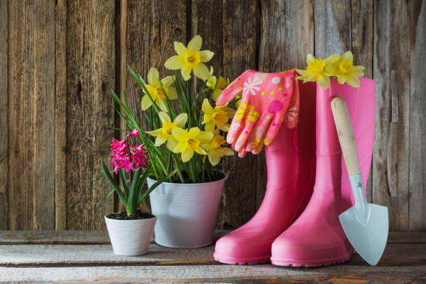 istock rubber boots and spring flowers on wooden background 1203124730