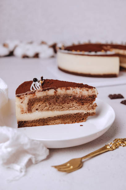 istock Delicious Chocolate Cheese Cake Slice with chocolate powder on top 1203126648
