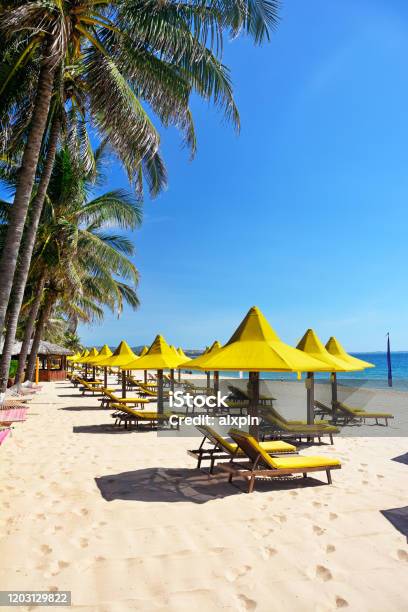 Tropical Beach Stock Photo - Download Image Now - Beach, Vietnam, Asia