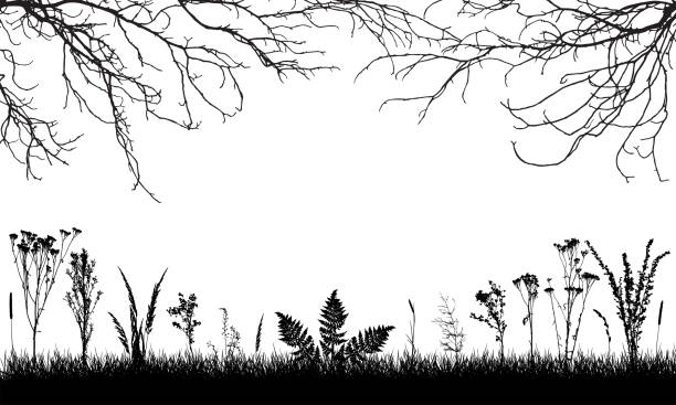 ilustrações de stock, clip art, desenhos animados e ícones de silhouette of grassland, wild weeds and grass, bare branches trees. vector illustration. applied clipping mask - abstract autumn bare tree empty