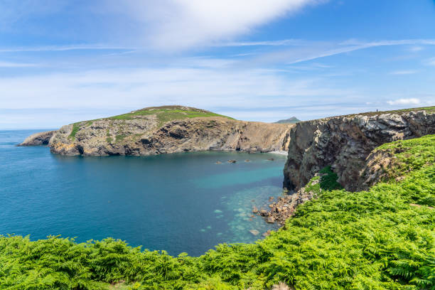 istock Walking the cliff top path around Ramsey Island 1203132181